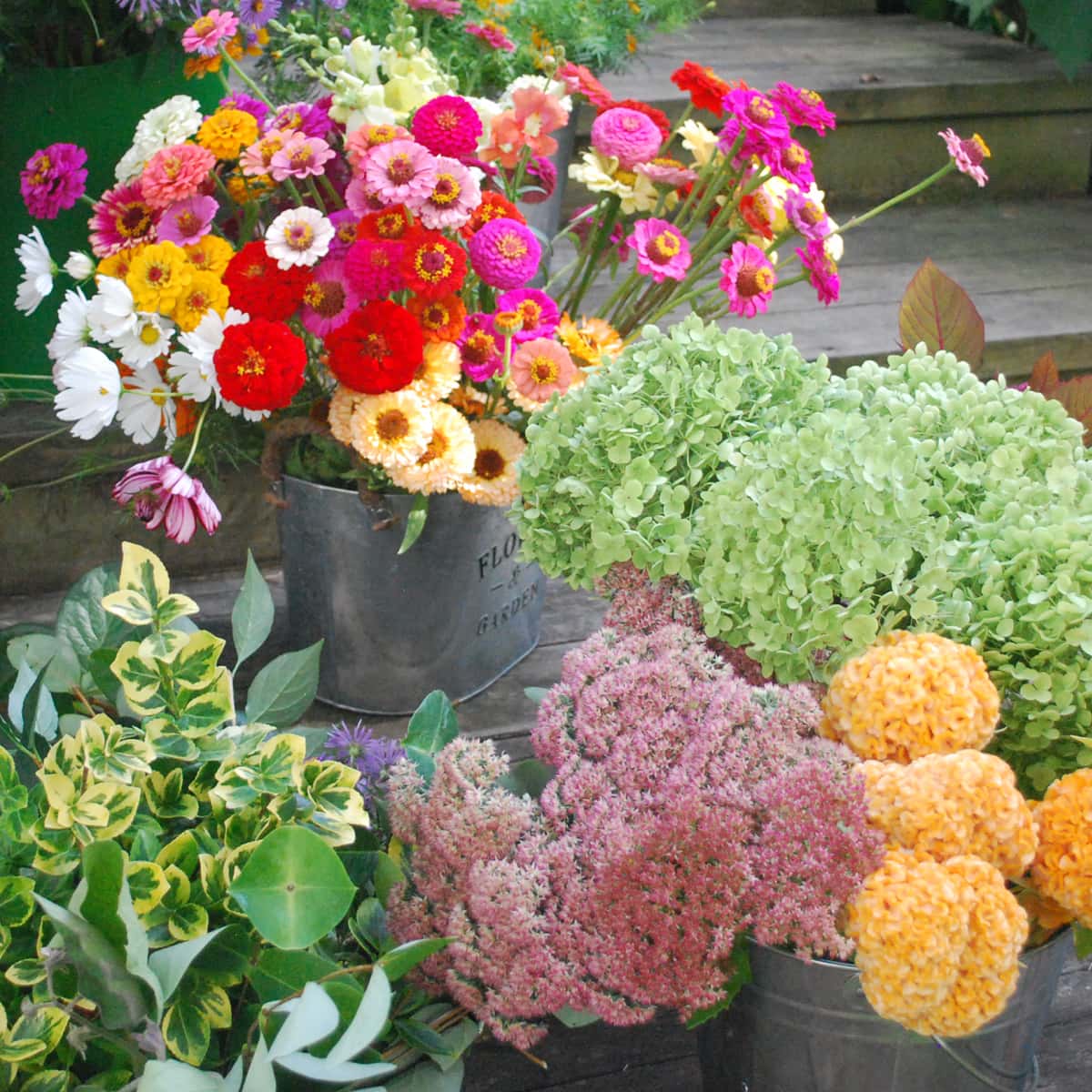 Several aluminum buckets filled with various flowers announce the DIY flower buckets product category.