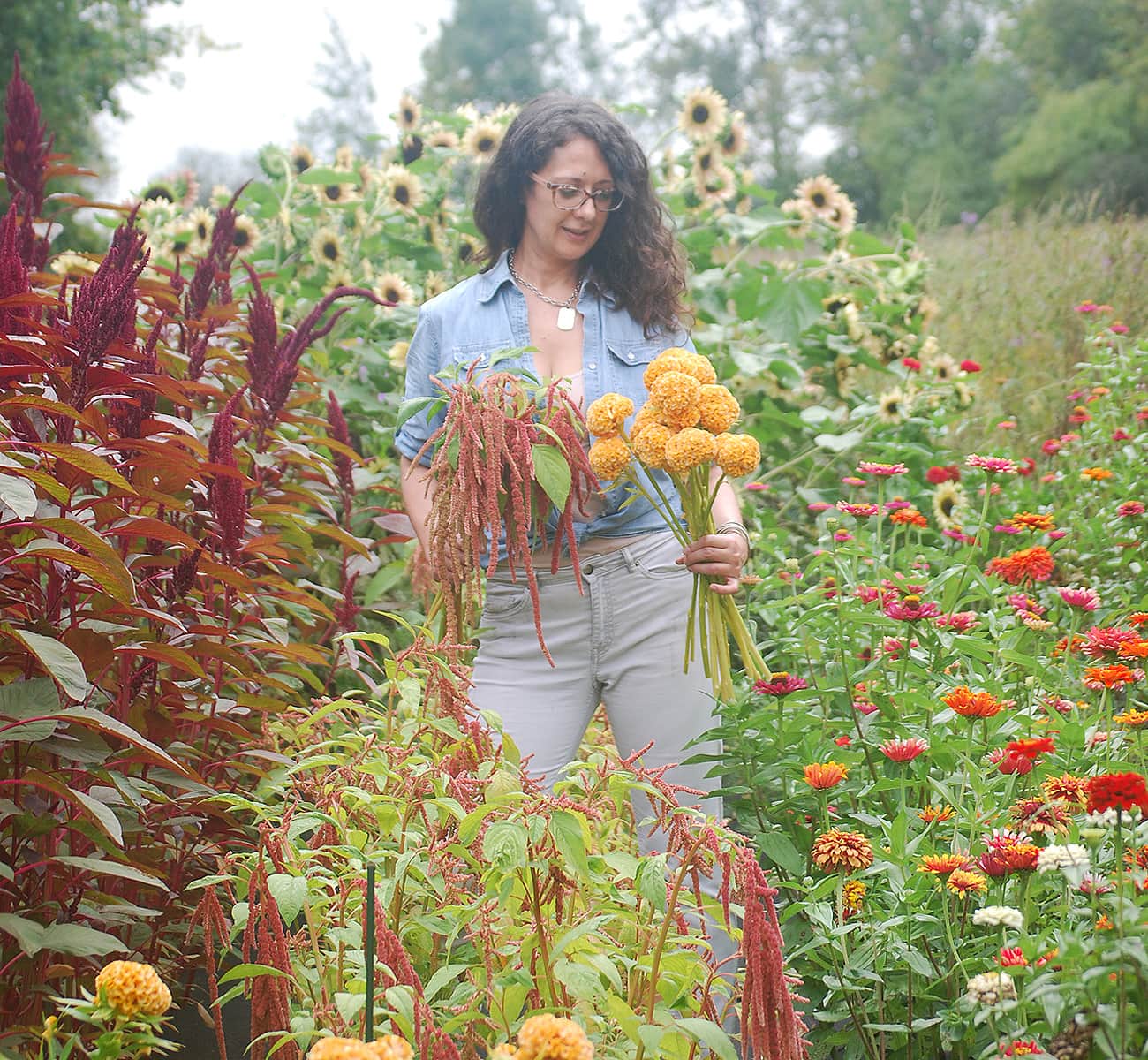A florist standing in her flower field and holding picked stems she uses in her Uxbridge flower shop for arrangements.